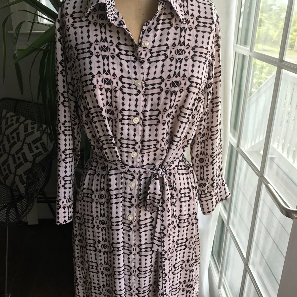 CAbi Shirt Dress With Tie (Size S)